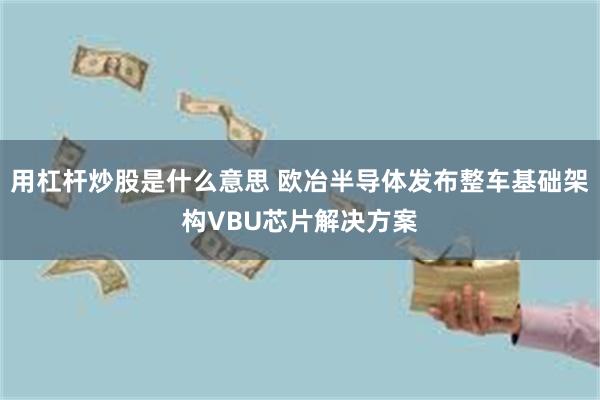 用杠杆炒股是什么意思 欧冶半导体发布整车基础架构VBU芯片解决方案