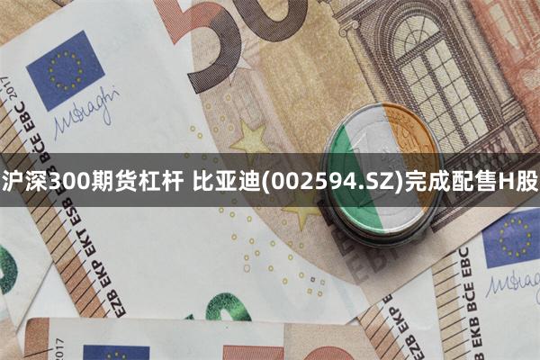 沪深300期货杠杆 比亚迪(002594.SZ)完成配售H股