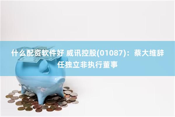 什么配资软件好 威讯控股(01087)：蔡大维辞任独立非执行董事