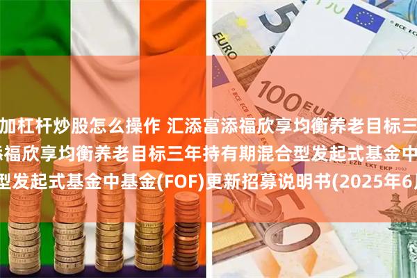 加杠杆炒股怎么操作 汇添富添福欣享均衡养老目标三年混合(FOF: 汇添富添福欣享均衡养老目标三年持有期混合型发起式基金中基金(FOF)更新招募说明书(2025年6月20日更新)