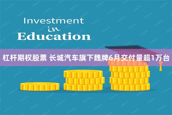 杠杆期权股票 长城汽车旗下魏牌6月交付量超1万台